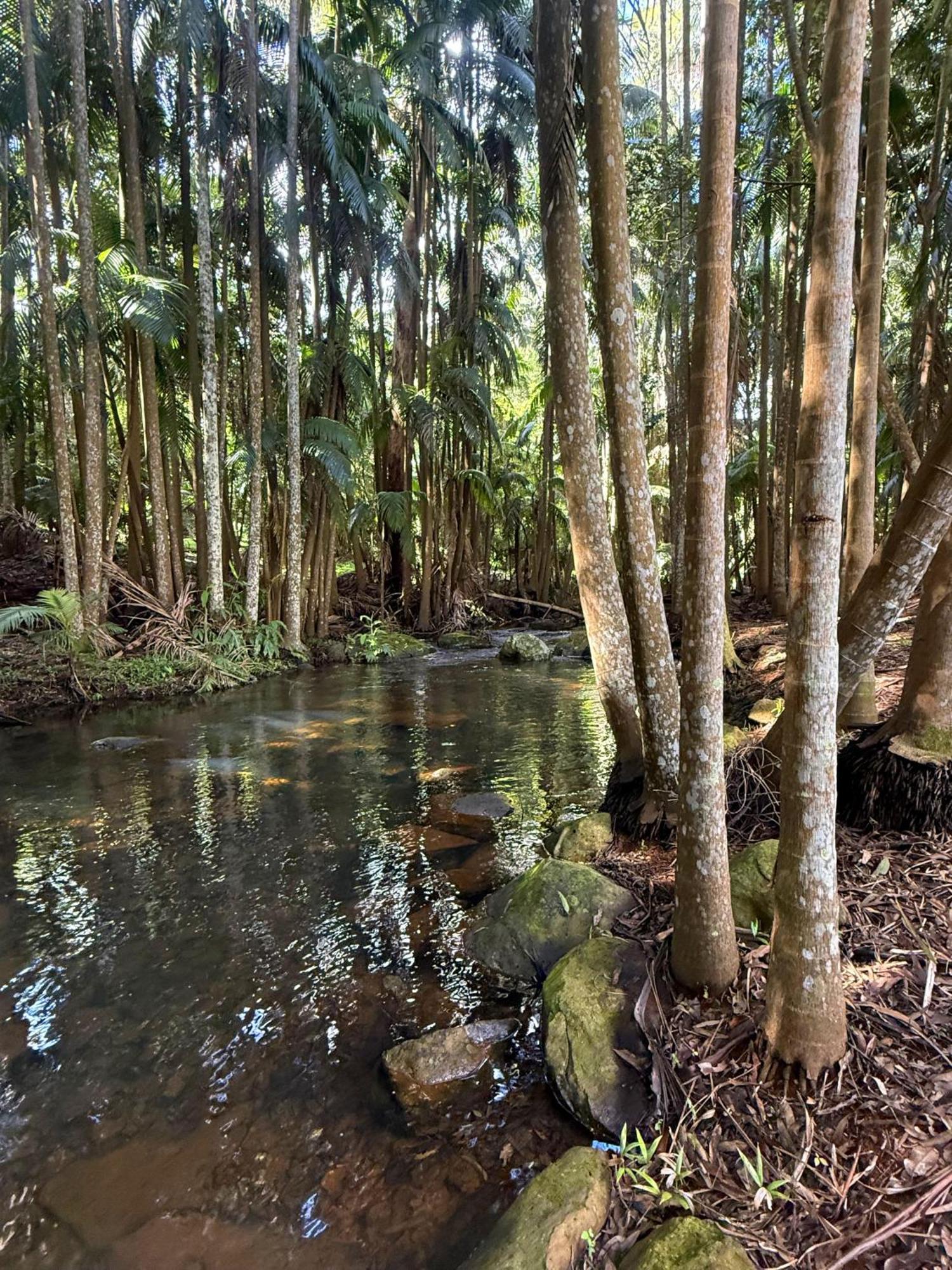 Mt Tamborine Stonehaven Manor Hotel Gold Coast Bagian luar foto