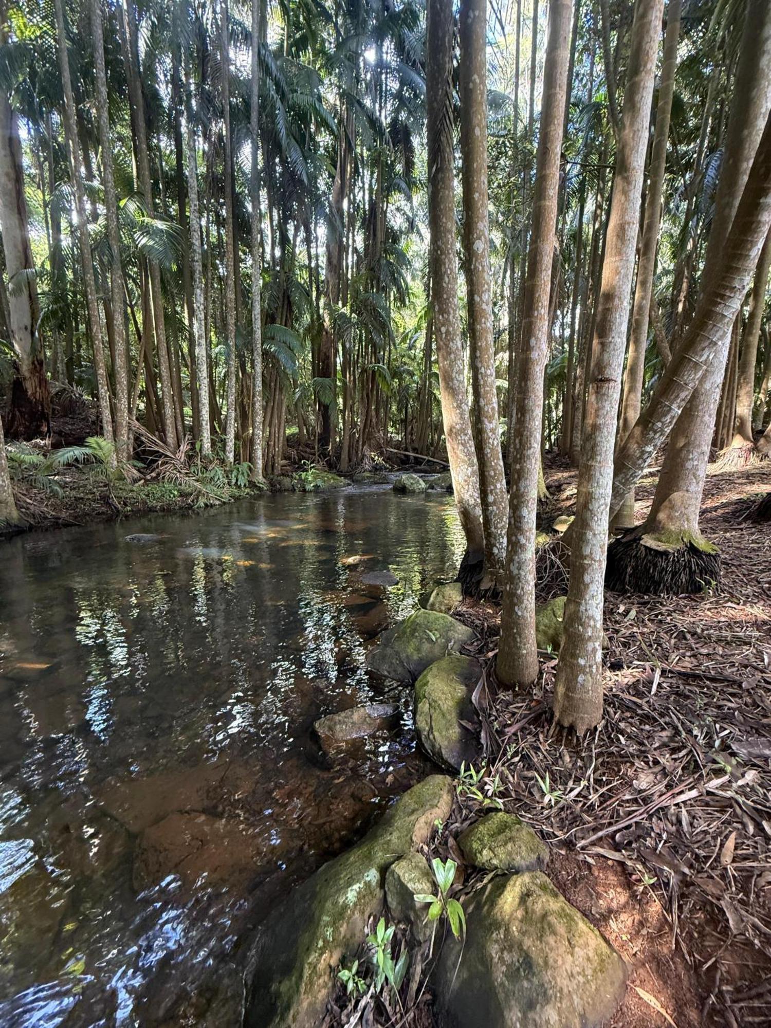 Mt Tamborine Stonehaven Manor Hotel Gold Coast Bagian luar foto