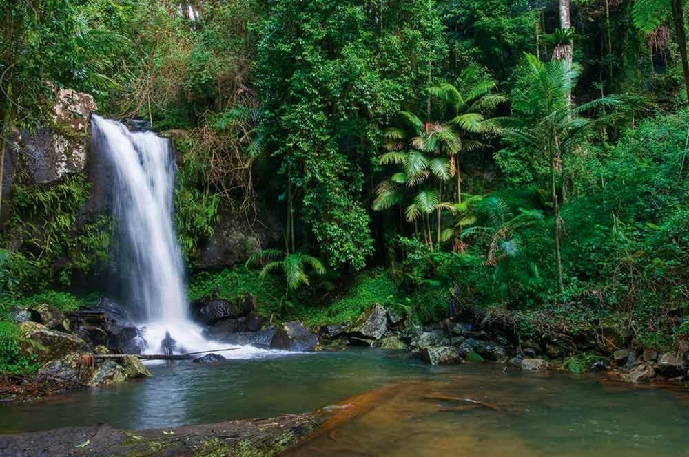 Mt Tamborine Stonehaven Manor Hotel Gold Coast Bagian luar foto